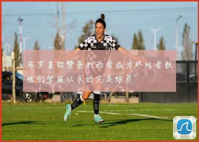 布罗基称赞普利西奇成为终结者教练们梦寐以求的完美球员