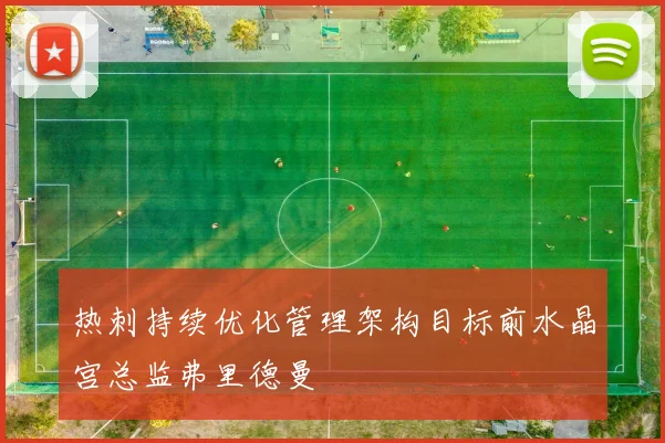 热刺持续优化管理架构目标前水晶宫总监弗里德曼